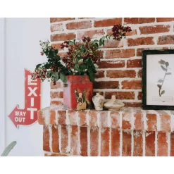 Food Storage 3R Studios Vintage Tin Dog Biscuit Container With Boston Terrier -Honey Can Do Shop red 3r studios kitchen canisters de0791 4f 1000